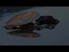 诸暨宣传片国家城市形象